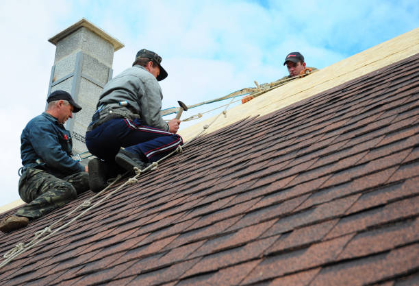 Best Roof Repair Services  in Council Grove, KS